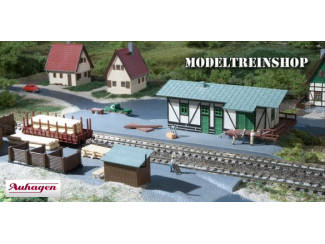 Auhagen N 14451 Goederenloods met Laadperron - Modeltreinshop