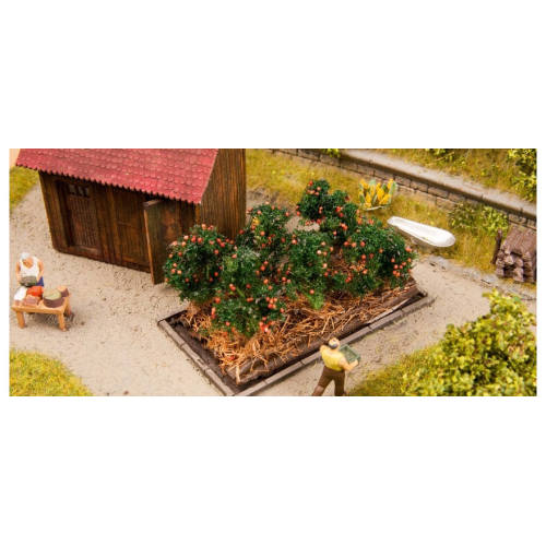 Tomatenplanten - Modeltreinshop