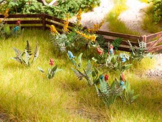 Noch H0 14056 Veld- en weideplanten - Modeltreinshop