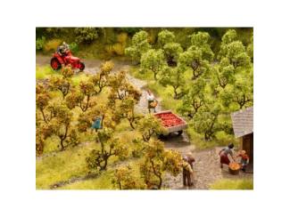 Noch H0 21532 Appelboomgaard Appelbomen - Modeltreinshop