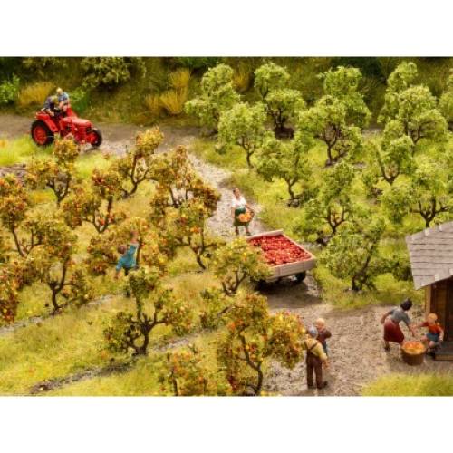 Noch H0 21532 Appelboomgaard Appelbomen - Modeltreinshop