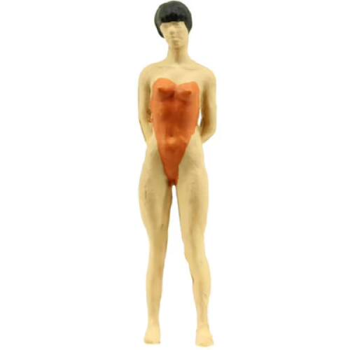 Preiser H0 28077 staande zwemster - Modeltreinshop
