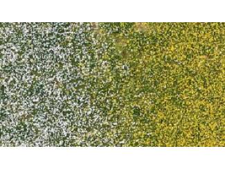Busch 3546 Lentebloemclusters 4 mm - Modeltreinshop