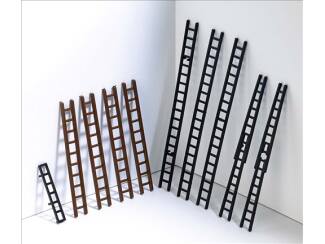 Busch H0 7786 Ladderset - Modeltreinshop
