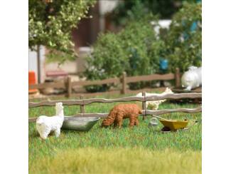 Busch H0 79861 Alpaca's met drinkbak