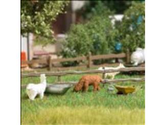 Busch H0 79861 Alpaca's met drinkbak - Modeltreinshop