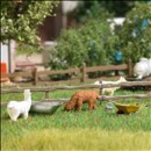 Busch H0 79861 Alpaca's met drinkbak - Modeltreinshop