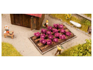 Noch H0 13218 Roden kool planten incl. bedding - Modeltreinshop