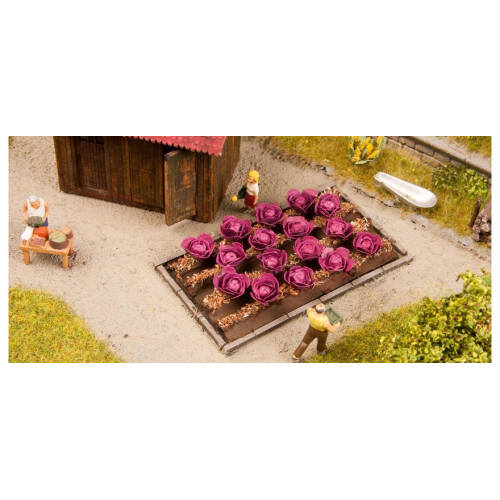 Noch H0 13218 Roden kool planten incl. bedding - Modeltreinshop